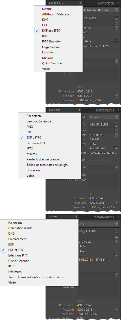Exif and IPTC metadata