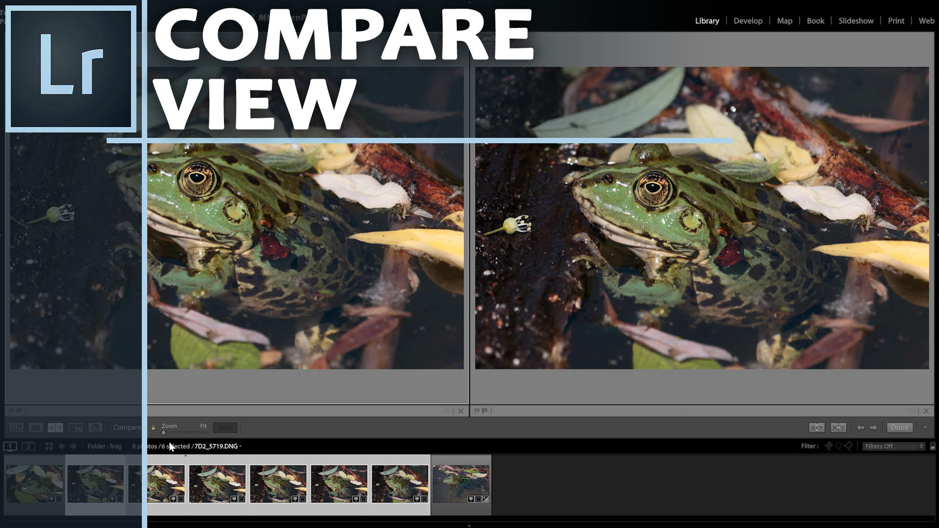 How to use Lightroom’s Compare View
